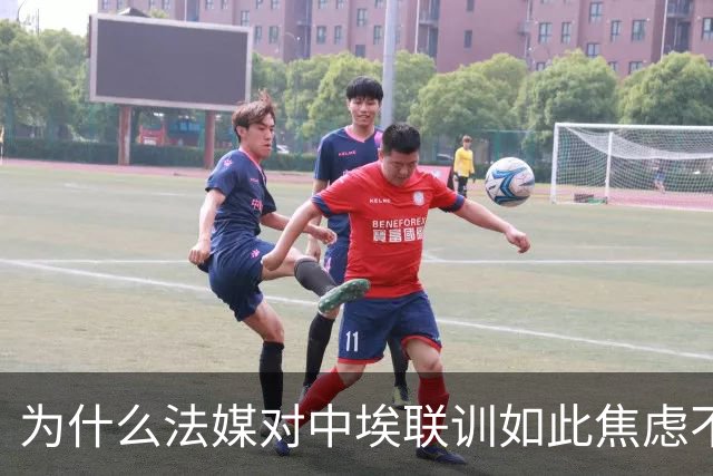 为什么法媒对中埃联训如此焦虑不安？